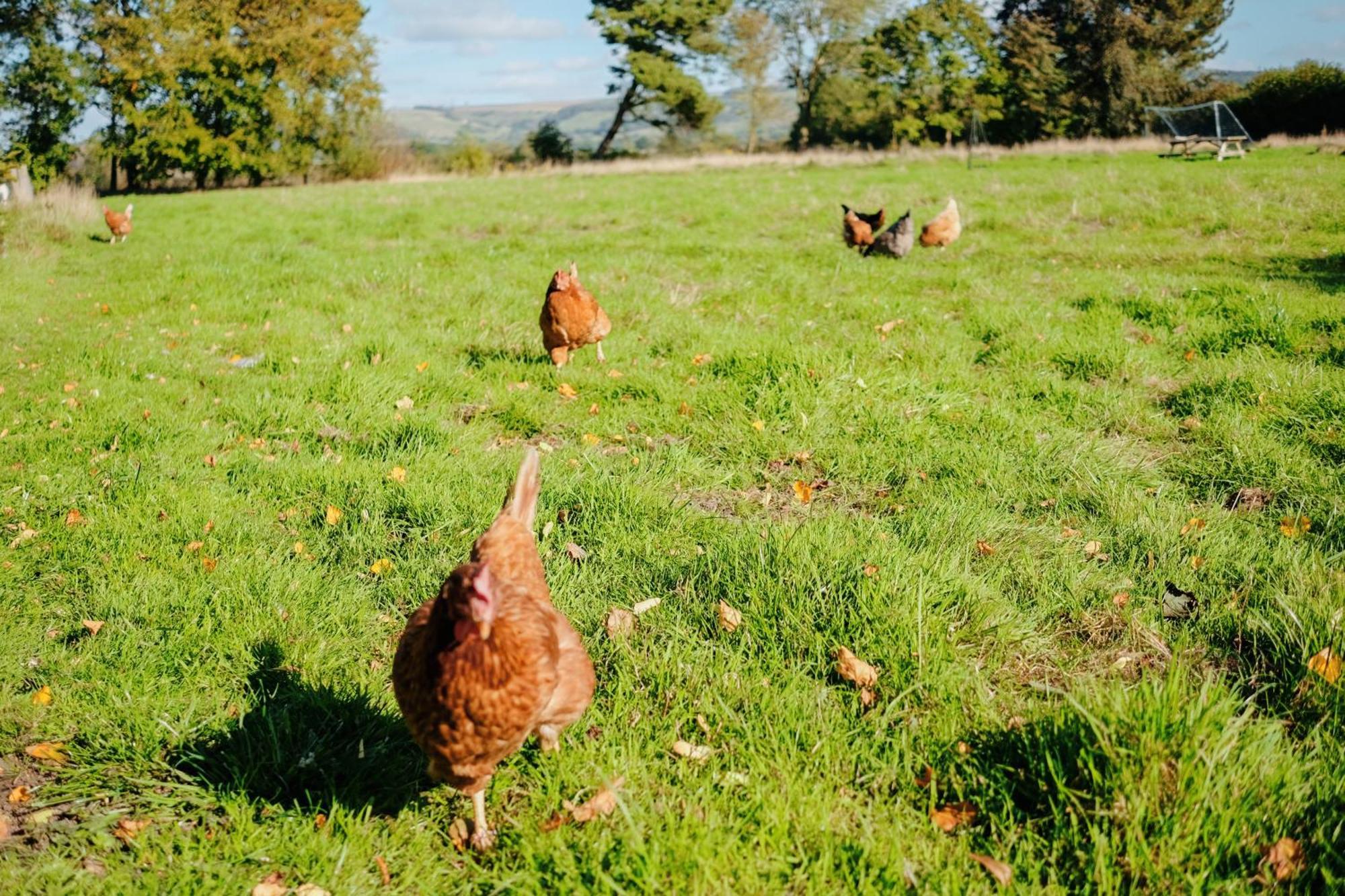 Little On The Yorkshire Wolds Casa vacanze York